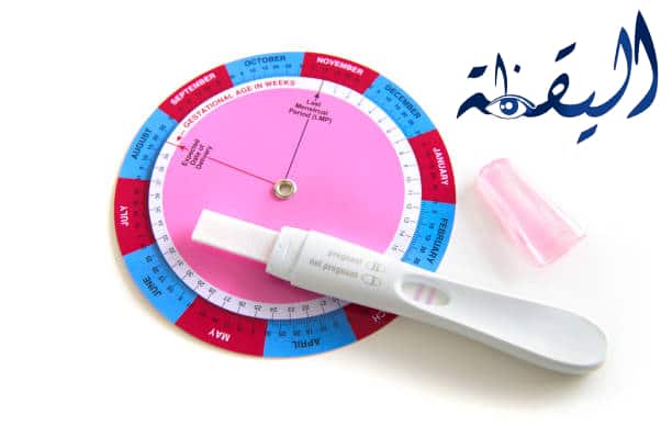 حاسبة التبويض بالهجري و أهم 5 نصائح للمساعدة على الحمل