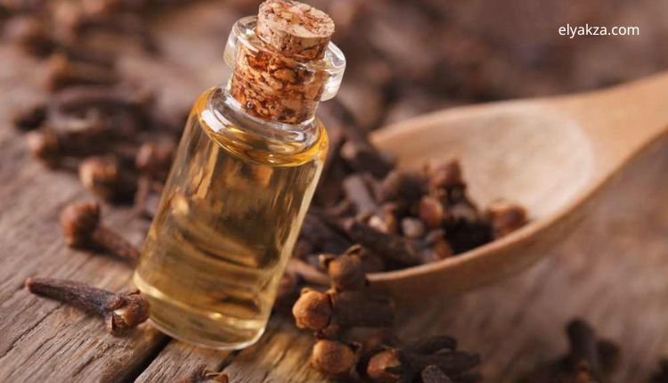 الزيوت الطبيعية لتحسين الصحة الجنسية للرجال بعد الستين 2 زيت القرنفل للجنس