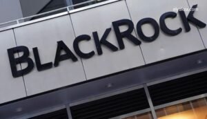 صعود بلاك روك وفانجارد وستيت ستريت