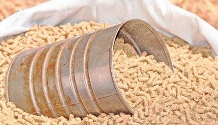 أسعار الأعلاف في السوق المصري: استثمارك الأمثل لنجاح مشاريع الطيور والدواجن 2 مكونات أساسية لتغذية الطيور