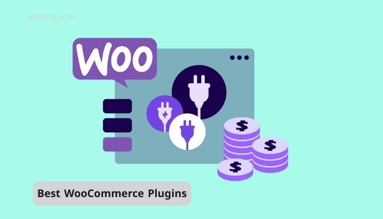 Best WooCommerce Plugins