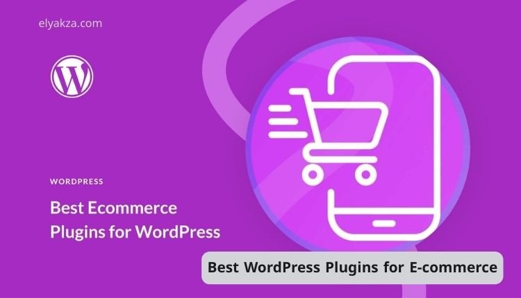 Best WordPress Plugins for E-commerce