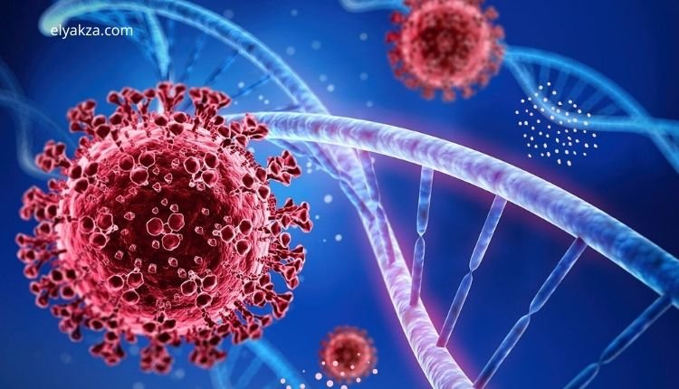 الظواهر الغامضة: أسرار العالم المجهول بين الحقائق والخيال 4 كوفيد-19 وتأثيره الخفي على الدماغ