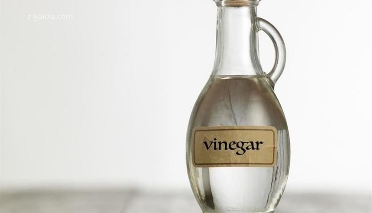 الفوائد الصحية للخل: حقائق علمية ودحض الخرافات الشائعة 3 هل الخل يزيد من حموضة المعدة