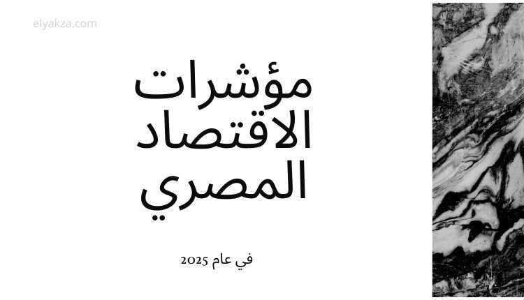 Egyptian economic indicators