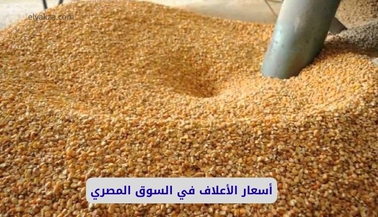 أسعار الأعلاف في السوق المصري