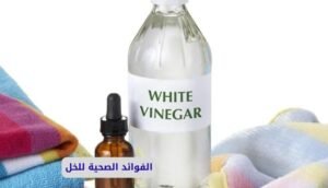 الفوائد الصحية للخل