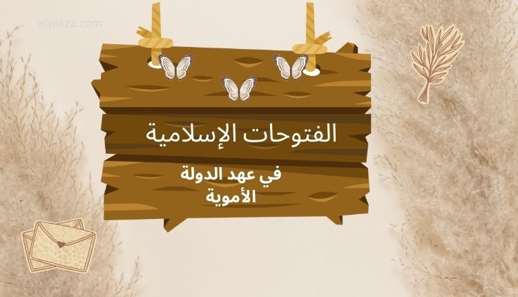 الفتوحات الإسلامية في عهد الدولة الأموية