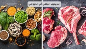 البروتين النباتي أم الحيواني