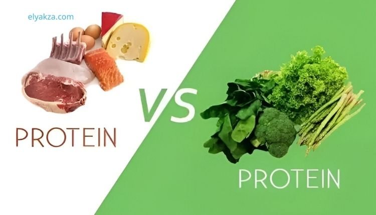 البروتين النباتي أم الحيواني: أيهما الأفضل لصحتك وفق العلم والدراسات الطبية 4 البروتين النباتي أم الحيواني: أيهما الأفضل لصحتك