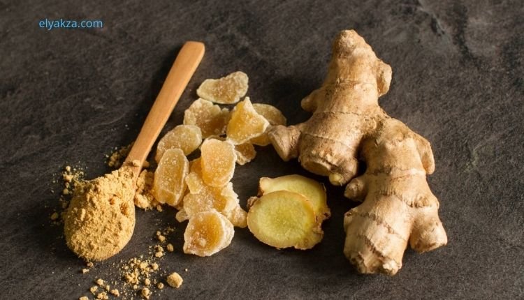 فوائد الزنجبيل الخارقة: كنز طبيعي بين يديك ودراسات علمية تكشف أسراره 3 السكشوجول في الزنجبيل المجفف