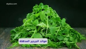 موقع اليقظة - الموقع العربي الشامل 7 فوائد الجرجير المذهلة