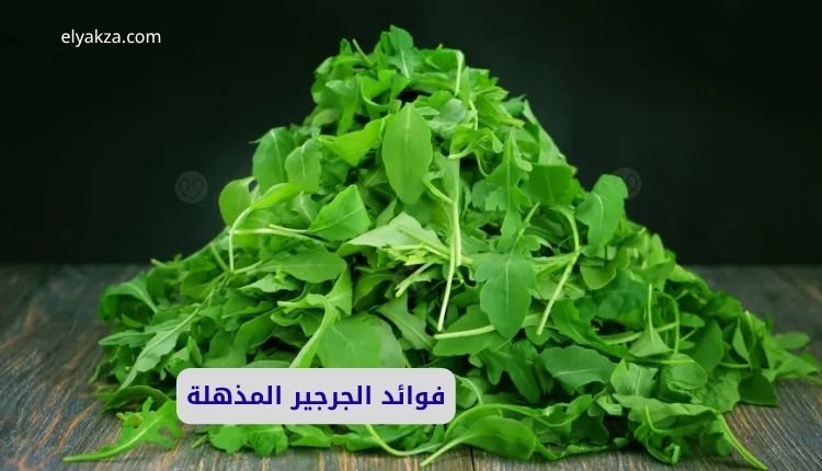 فوائد الجرجير المذهلة