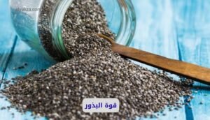 موقع اليقظة - الموقع العربي الشامل 7 أهمية بذور الشيا