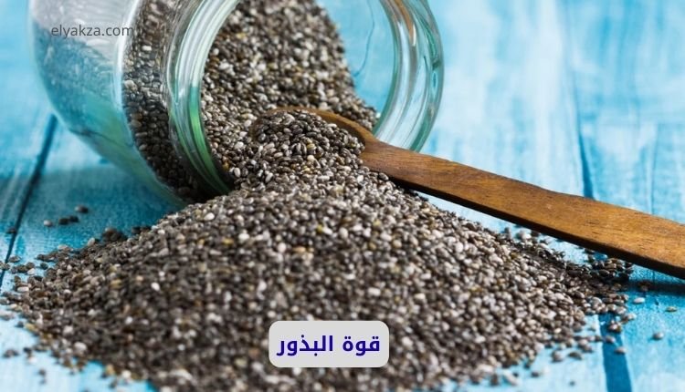 أهمية بذور الشيا