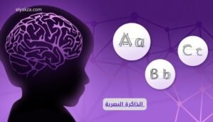 موقع اليقظة - الموقع العربي الشامل 7 الذاكرة البصرية