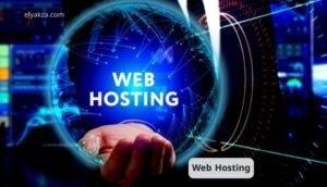 Web Hosting Explained
