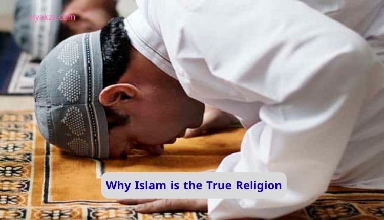 What do Muslims worship