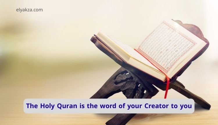 You will find comfort in the Holy Quran