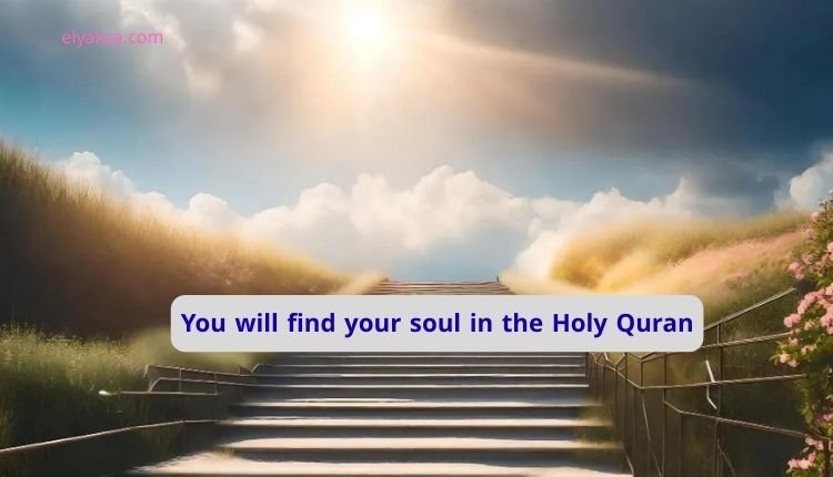 You will find your soul in the Holy Quran