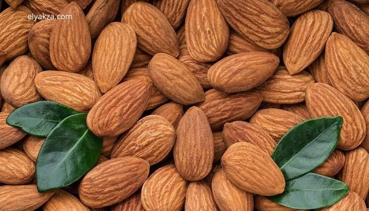 المكسرات المعززة للتستوستيرون للعودة إلى القوة بعد سن الخمسين 3 اللوز وزيادة التستوستيرون