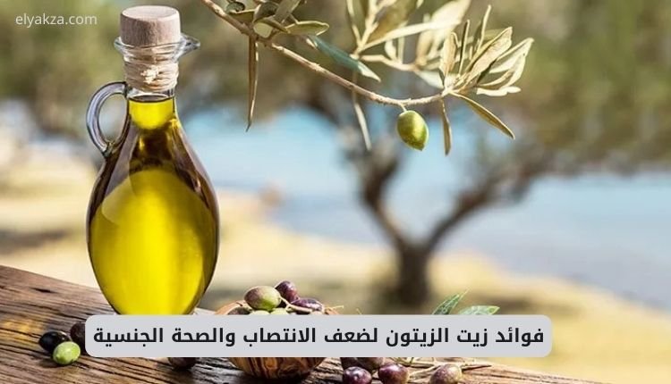 فوائد زيت الزيتون لضعف الانتصاب والصحة الجنسية