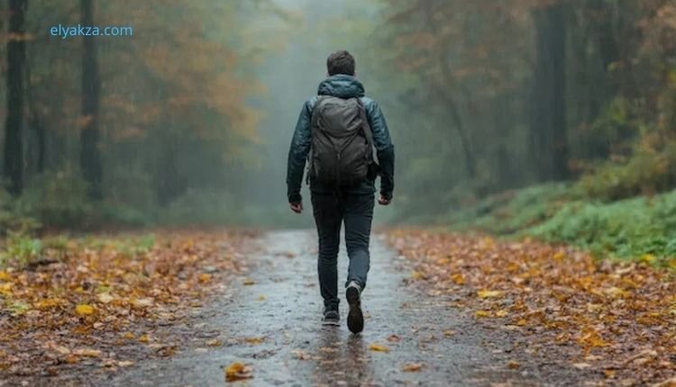 المشي لمدة 10 دقائق بعد الأكل: فوائد صحية مذهلة 3 فوائد المشي لمدة 10 دقائق بعد الأكل