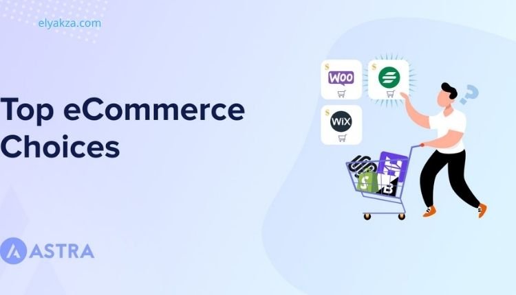 Building a Powerful Online Store: The Ultimate Guide to Astra Theme for E-commerce 4 Deep Dive into WooCommerce Integration with Astra