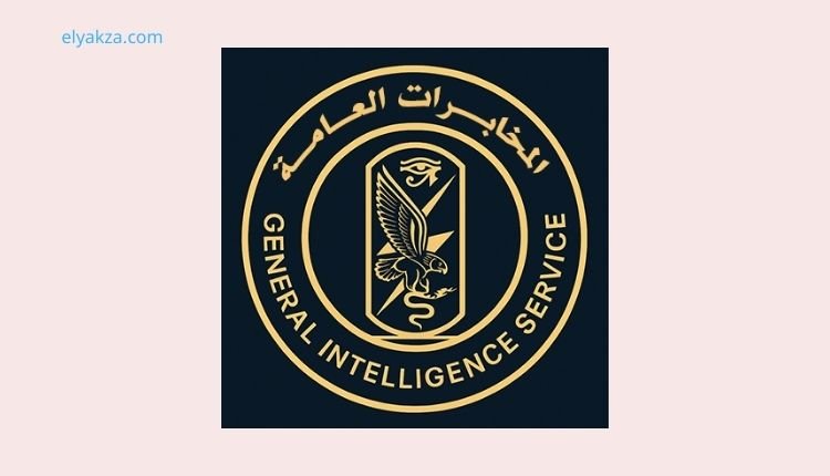 المخابرات المصرية وحرب أكتوبر