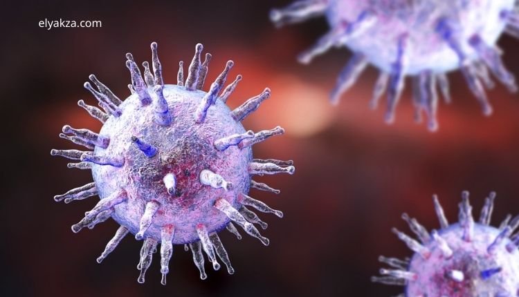 التشافي الطبيعي من أمراض المناعة الذاتية: دليل شامل لاستعادة الصحة والعافية 3 Epstein-Barr Virus