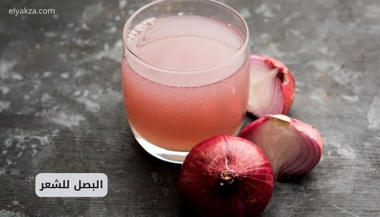 البصل للشعر