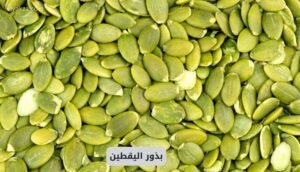 موقع اليقظة - الموقع العربي الشامل 6 بذور اليقطين