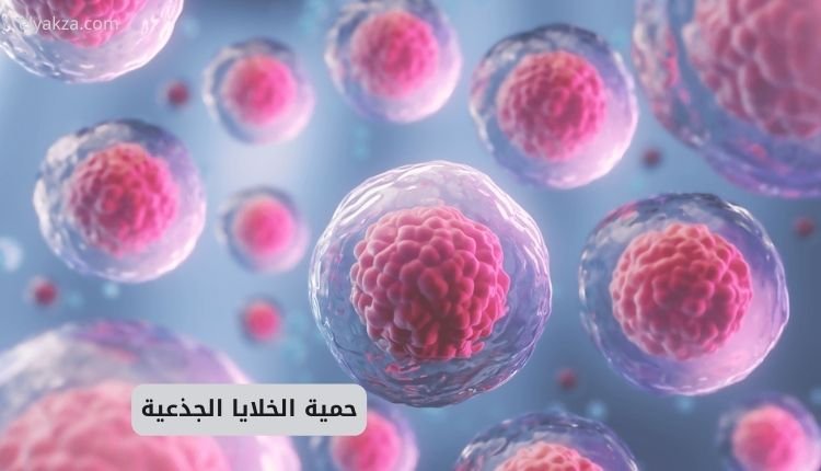 حمية الخلايا الجذعية: دليلك الشامل لشباب دائم وصحة متجددة 8 حمية الخلايا الجذعية