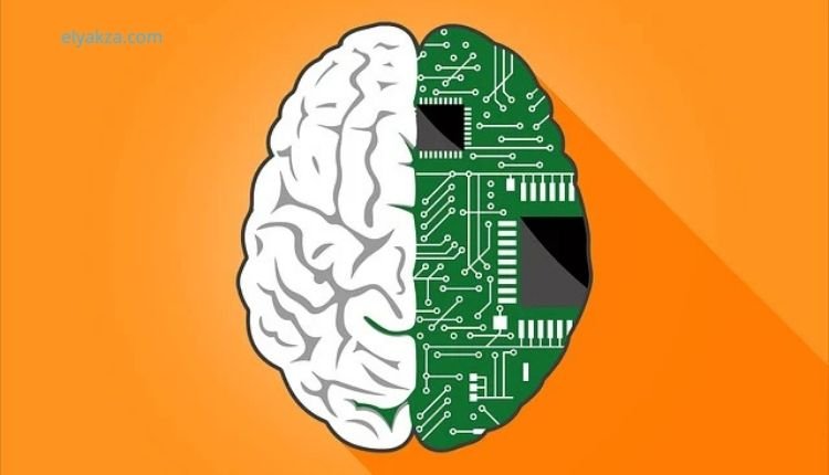 تأثير التكنولوجيا على الدماغ: كيف تغيرت عقولنا في العصر الرقمي؟ 4 التكنولوجيا والدماغ البشري