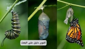 أقوى دليل على البعث