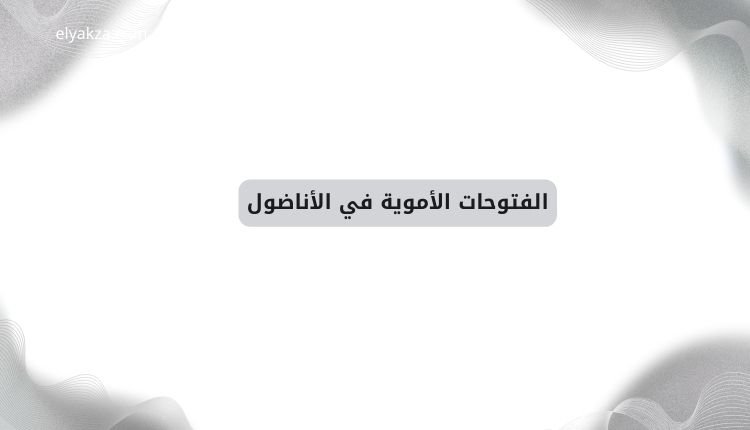 الكتب الأموية: محاولة لاستعادة التاريخ الإسلامي المشرق 4 الفتوحات الأموية في الأناضول