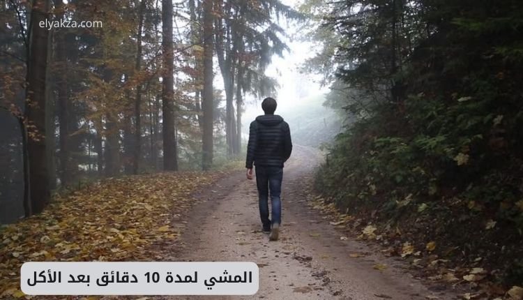 المشي لمدة 10 دقائق بعد الأكل: فوائد صحية مذهلة 2 المشي لمدة 10 دقائق بعد الأكل