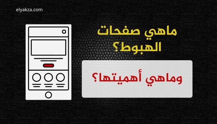 صفحات هبوط احترافية عبر هوستنجر بضغطه زر واحدة 3 ما هي صفحة الهبوط