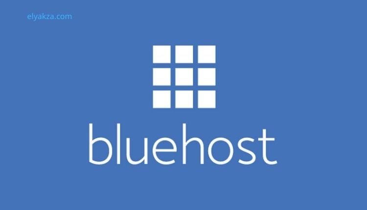 The Quest for Affordable Excellence: Uncovering the Best Cheap Web Hosting Providers 5 bluehost hosting services