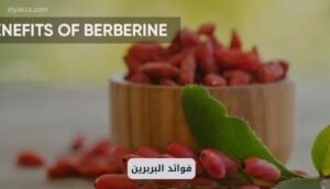 فوائد البربرين