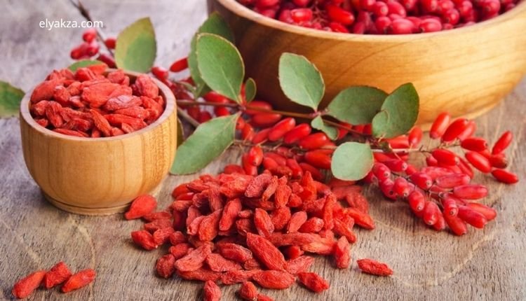فوائد البربرين: المكمل الطبيعي لحرق الدهون وتنظيم السكر 3 فوائد البربرين لجسم الإنسان