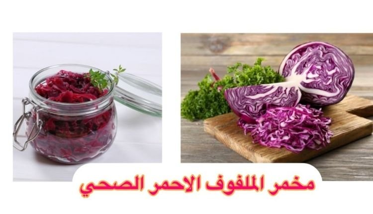 فوائد الكرنب المخمر: سرّ الصحة والهضم القوي من مطبخك الطبيعي 4 فوائد الكرنب المخمر للجهاز الهضمي