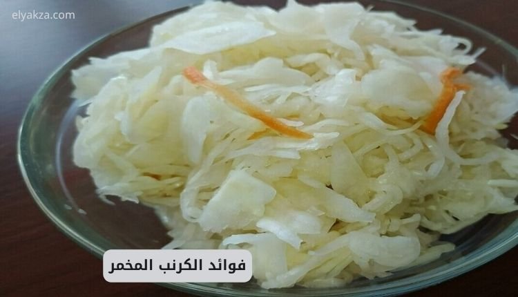 فوائد الكرنب المخمر: سرّ الصحة والهضم القوي من مطبخك الطبيعي 5 فوائد الكرنب المخمر