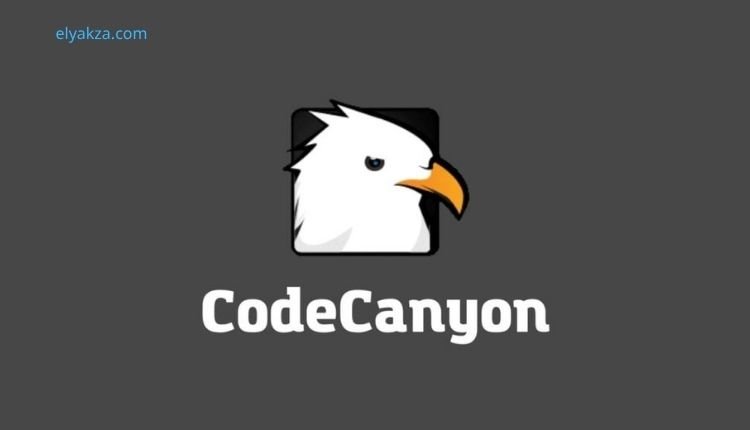 Buy Ready-Made Scripts from Platforms Like CodeCanyon