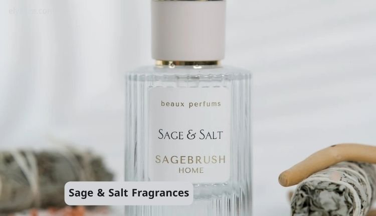 Sage & Salt Fragrances