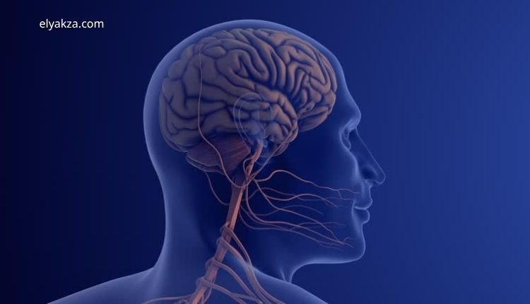 أعراض التهاب الأعصاب في الرأس، الدوخة وثقل الرأس، وكهرباء المخ عند الأطفال – د. أحمد الغيطي يوضح الأسباب والعلاج 4 أسباب الدوخة المستمرة وثقل الرأس