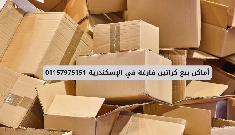 أماكن بيع كراتين فارغة في الإسكندرية 01157975151 أفضل كراتين للبيع بسيدي بشر وميامي 4 أماكن بيع كراتين فارغة سيدي بشر بالإسكندرية