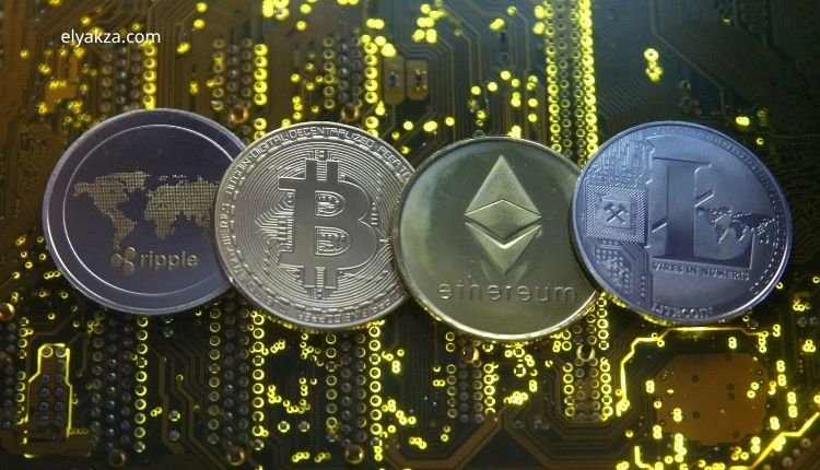 خدمات أون لاين والاشتراكات الرقمية: كيف تستفيد وتختار الأنسب لك؟ 4 سوق الكريبتو